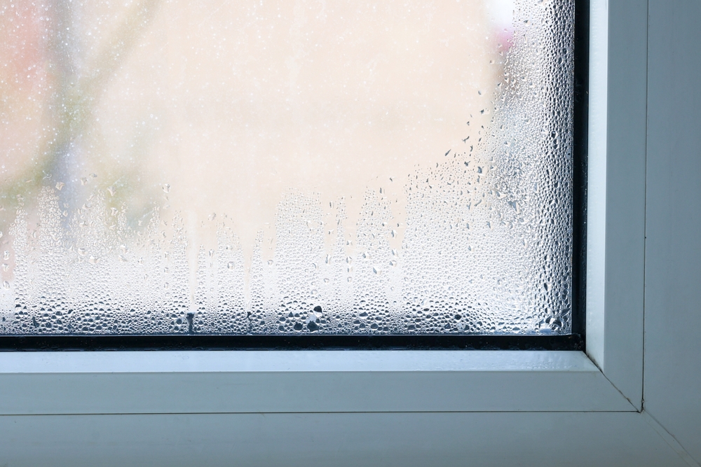 How to Stop Condensation & Mould in the Home