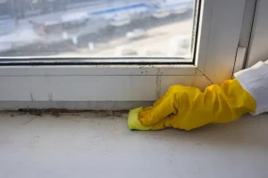 prevent-mold-window-sill