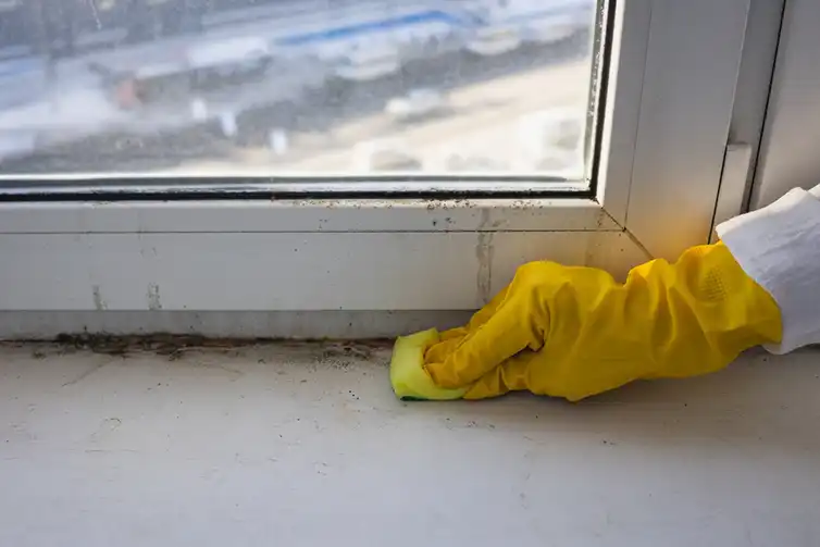 prevent-mold-window-sill