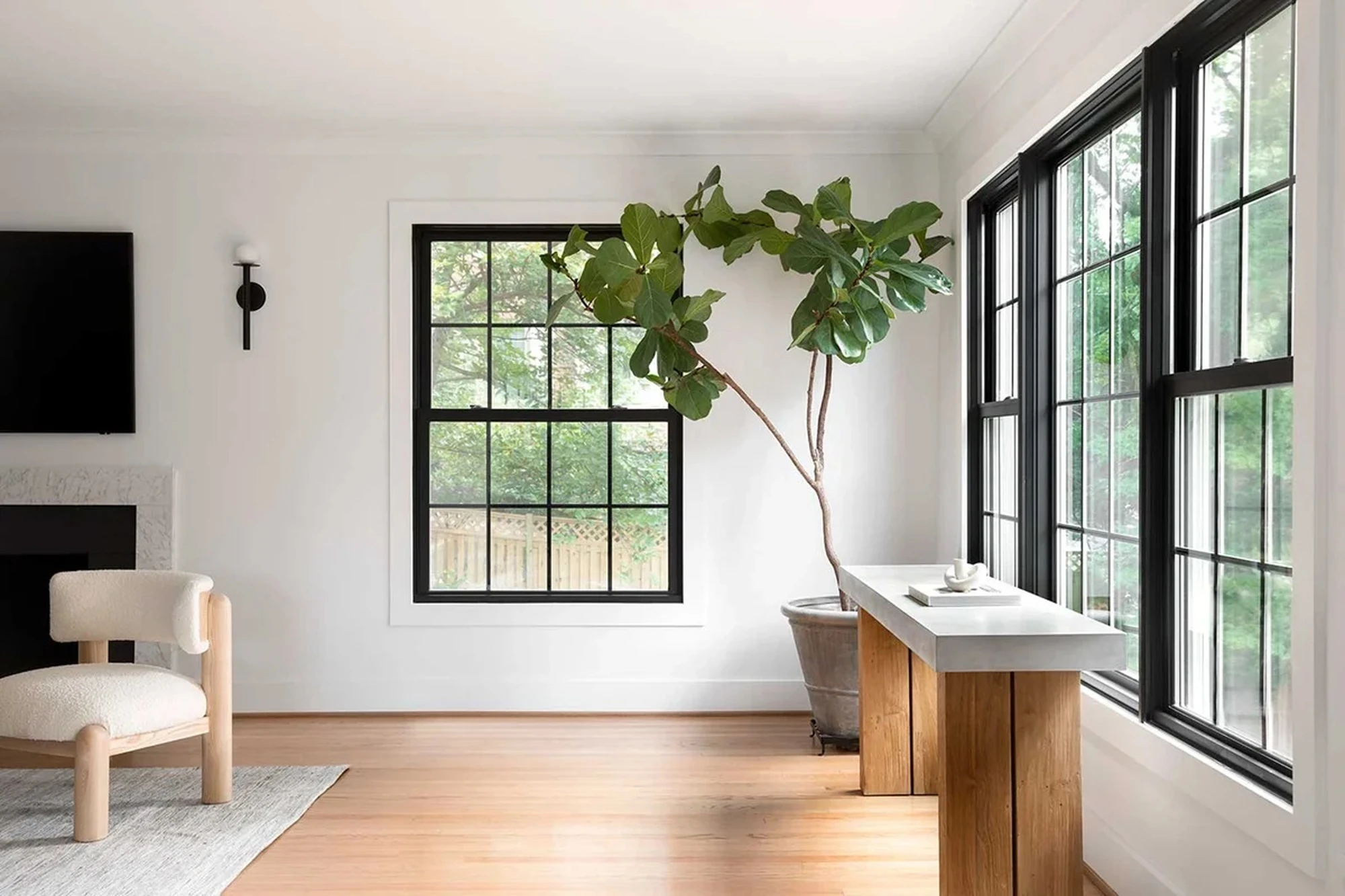 Single hung vs double hung windows shown in a modern living room with black-framed windows and natural light